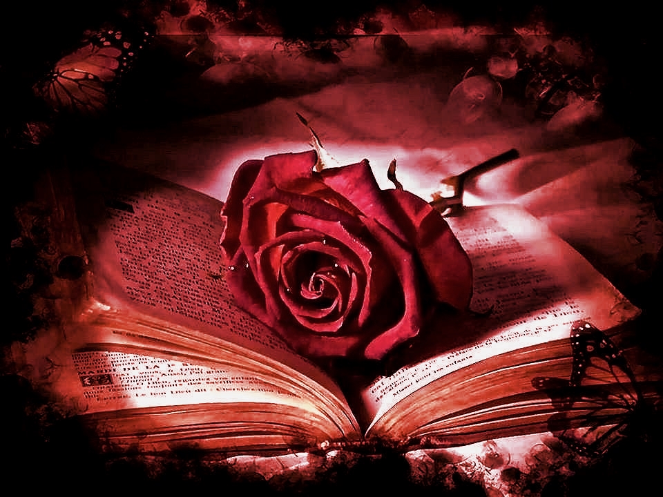 libro-rosa-rossa